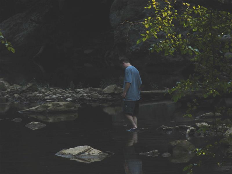 10:redbyrd09011.jpg