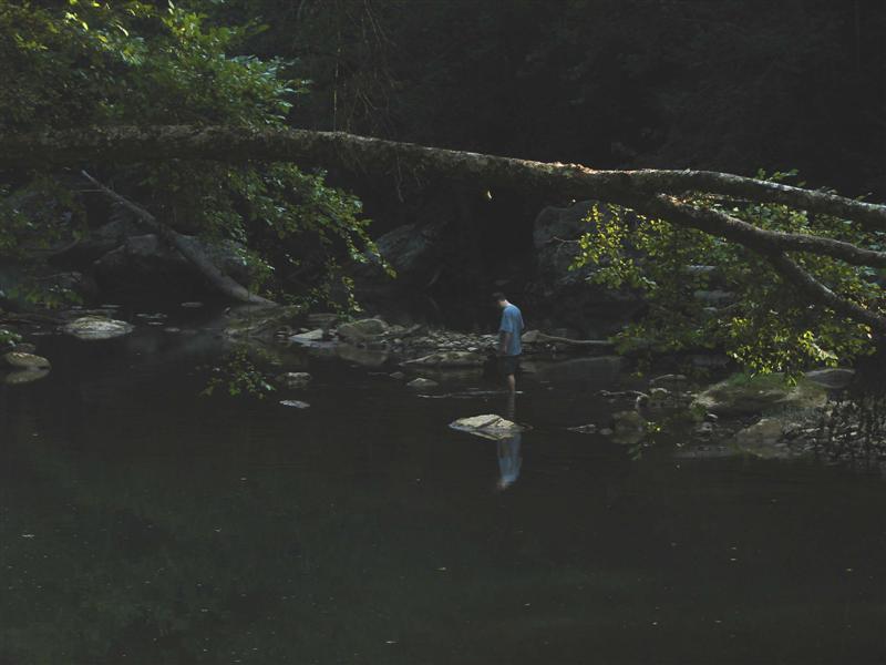 11:redbyrd09012.jpg