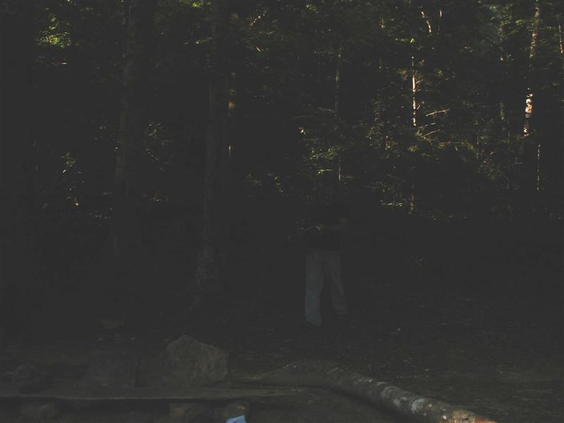 13:redbyrd09014.jpg