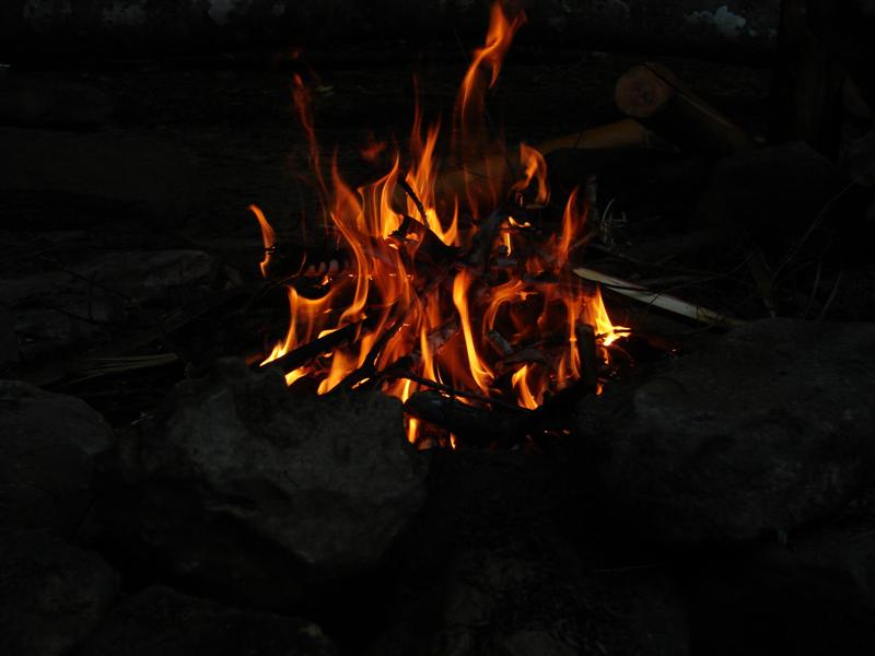 17:redbyrd09018.jpg