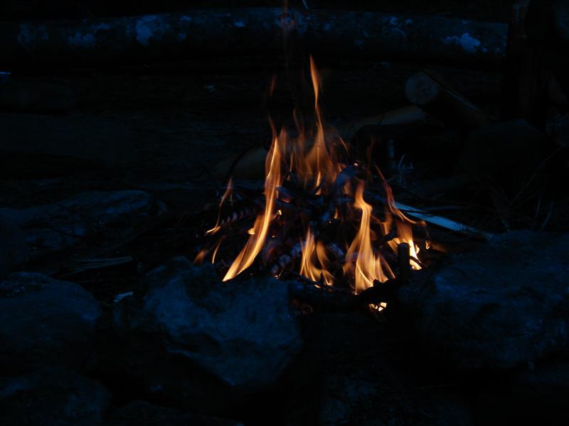 18:redbyrd09019.jpg