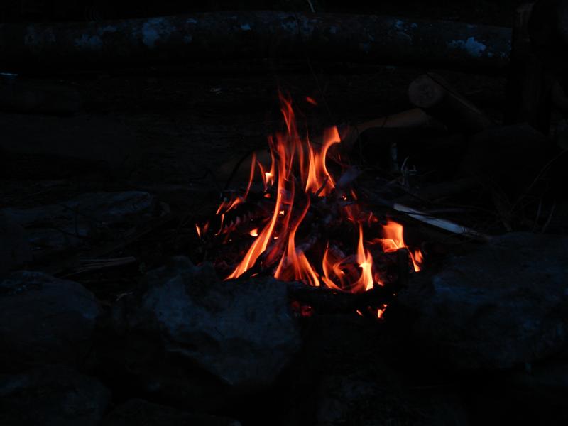 19:redbyrd09020.jpg