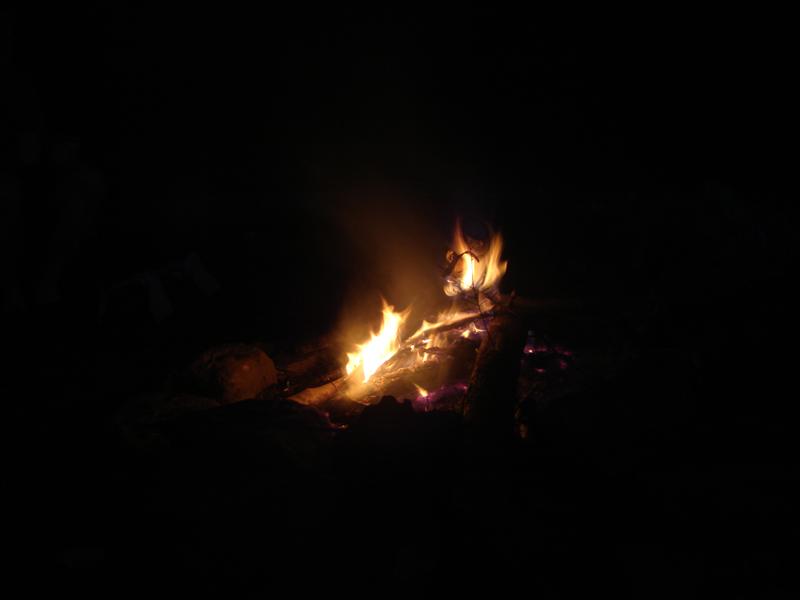 44:redbyrd09045.jpg