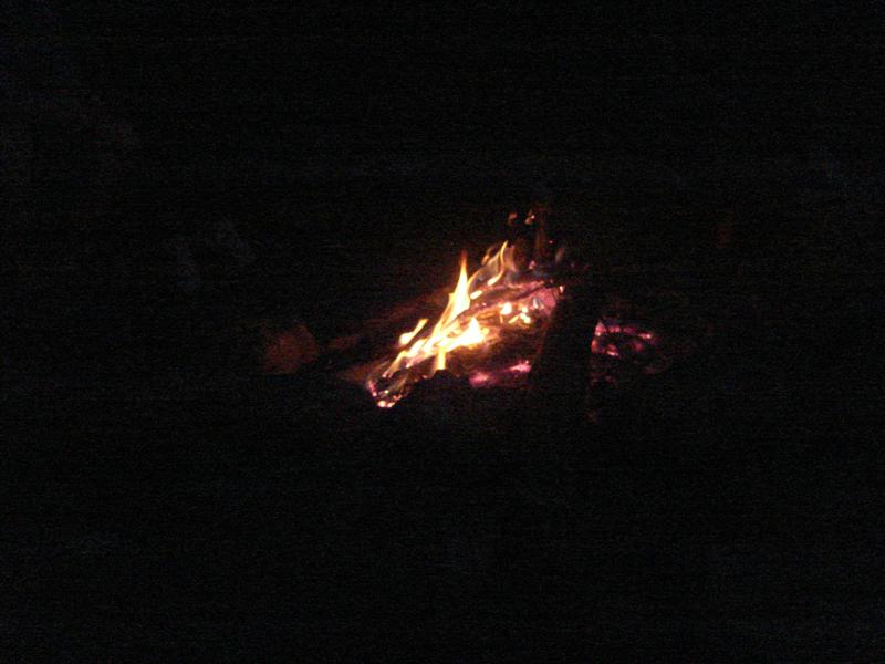 48:redbyrd09049.jpg