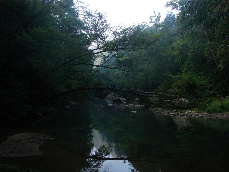 49:redbyrd09051.jpg