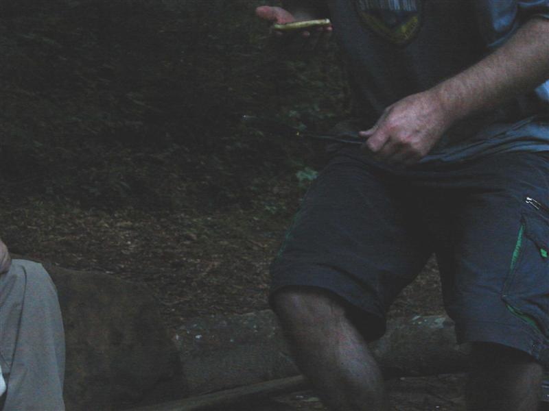 55:redbyrd09057.jpg