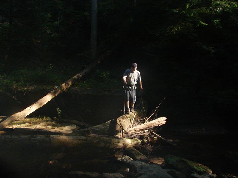58:redbyrd09060.jpg