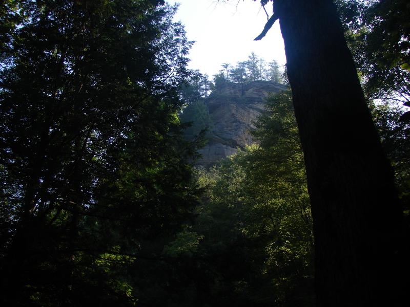 63:redbyrd09065.jpg
