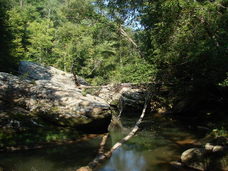 68:redbyrd09071.jpg