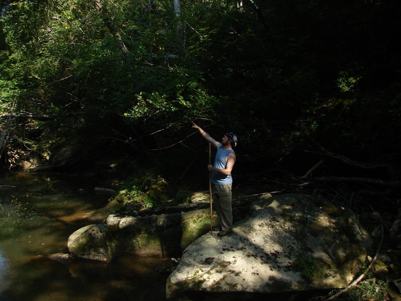 72:redbyrd09075.jpg