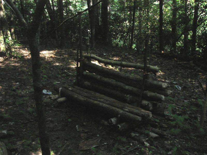 84:redbyrd09087.jpg