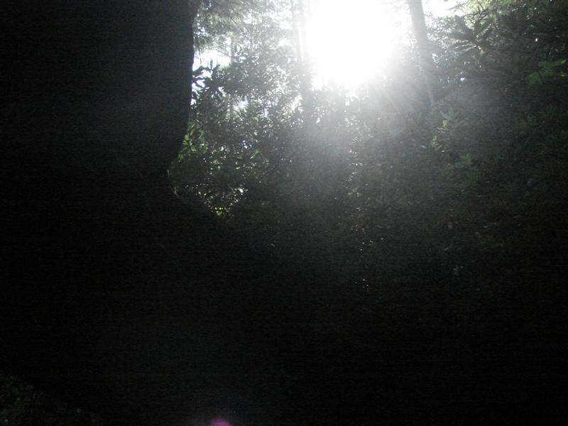 89:redbyrd09092.jpg