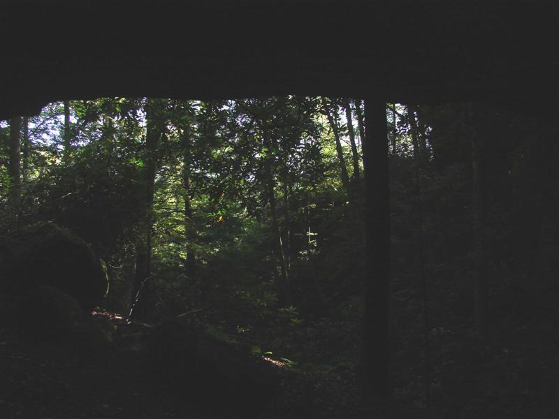 90:redbyrd09093.jpg