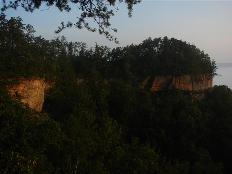 109:redbyrd09115.jpg