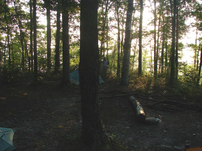 111:redbyrd09117.jpg