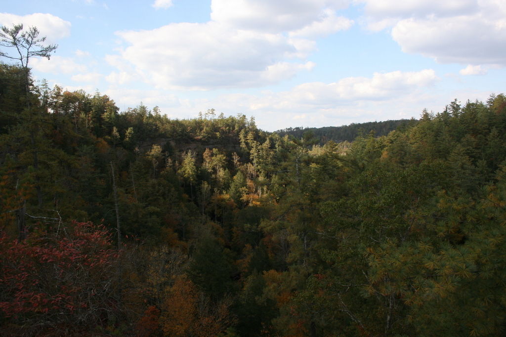 18:IMG_3374.jpeg