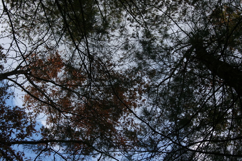 39:IMG_3415.jpeg
