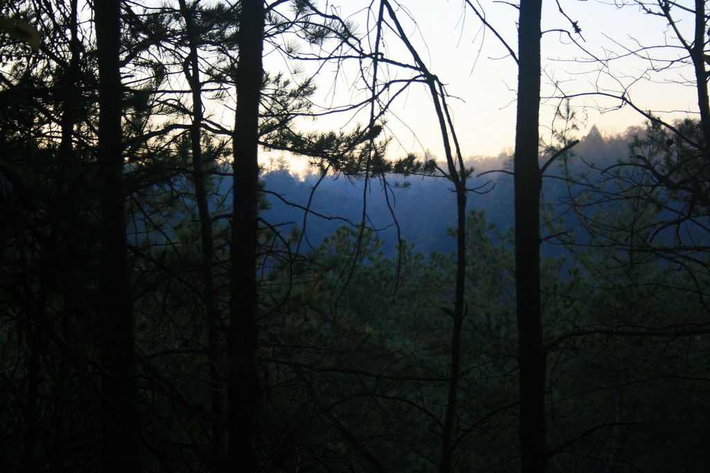 40:IMG_3416.jpeg