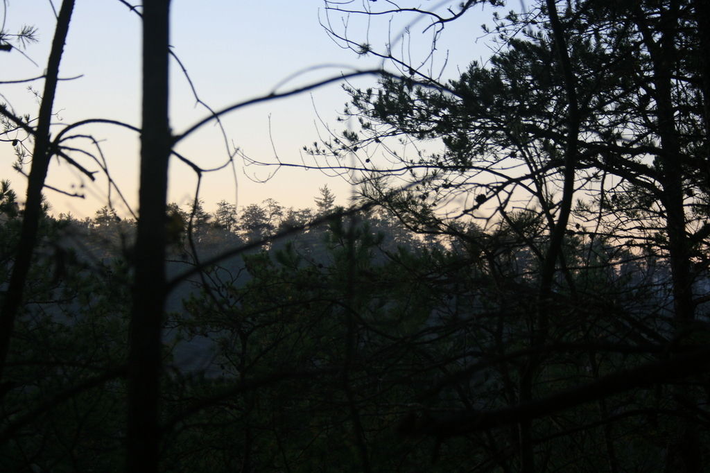 41:IMG_3417.jpeg