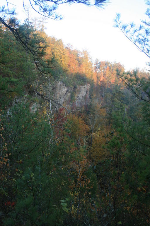 48:IMG_3424.jpeg
