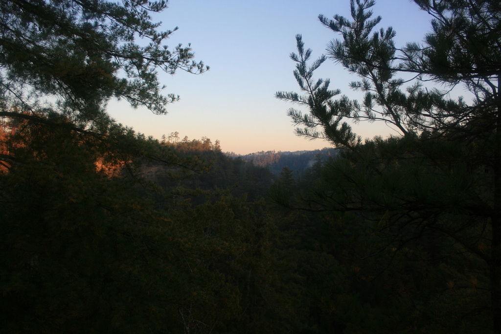 58:IMG_3435.jpeg