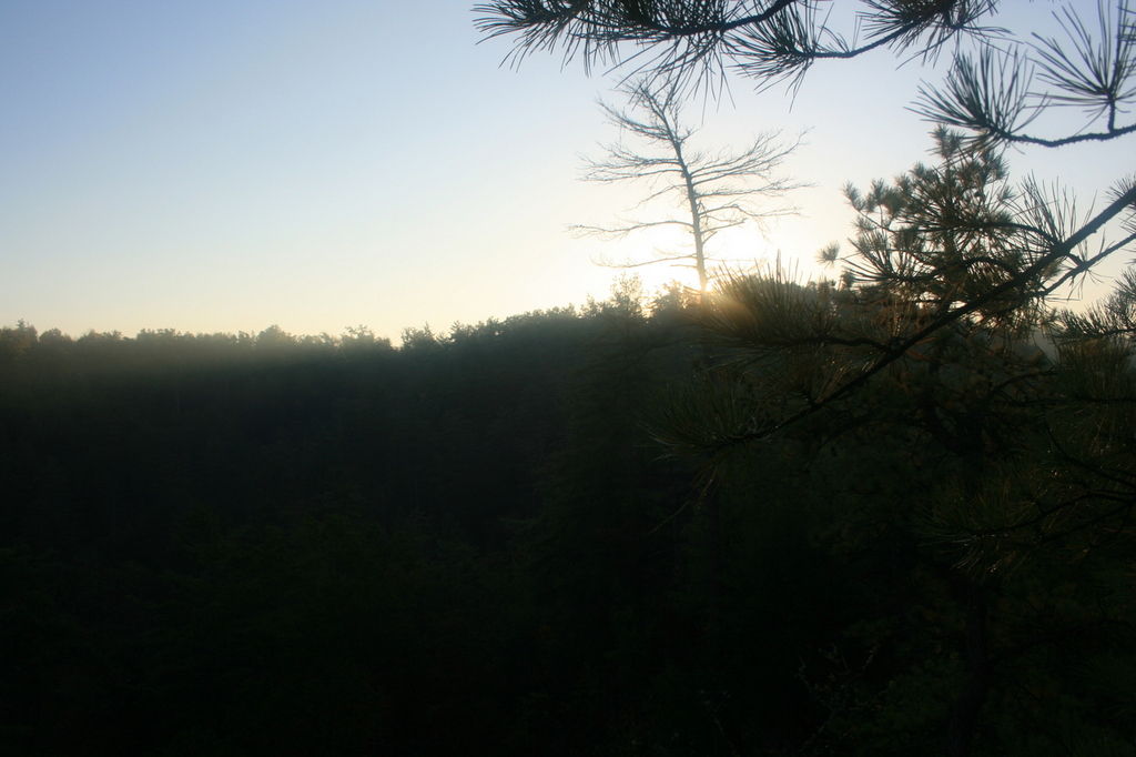 66:IMG_3445.jpeg