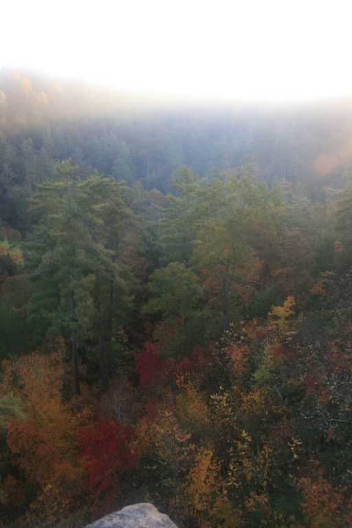 79:IMG_3463.jpeg