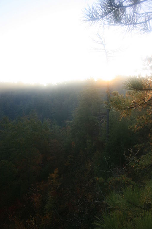 83:IMG_3467.jpeg