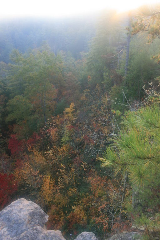 84:IMG_3468.jpeg