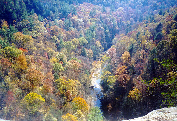 View of the north fork of the Red River<br>15:99-017.jpg
