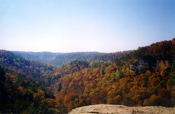 View across the gorge<br>16:99-018.jpg